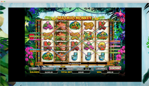 Mad Mad Monkey Slot Paylines