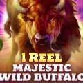 1 Reel Majestic Wild Buffalo