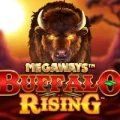 Buffalo Rising Megaways