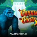 Congo Cash XL