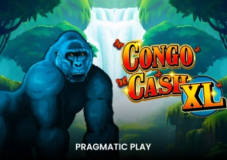 Congo Cash XL