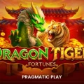 Dragon Tiger Fortunes