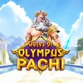 Gates of Olympus Pachi