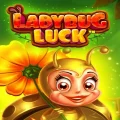 Ladybug Luck