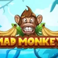 Mad Monkey