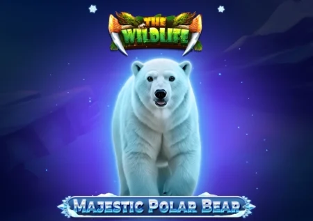 Majestic Polar Bear