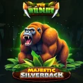 Majestic Silverback