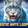 Majestic White Leopard