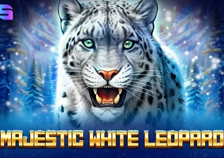 Majestic White Leopard