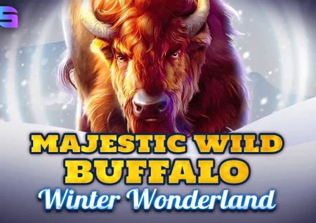 Majestic Wild Buffalo – Winter Wonderland