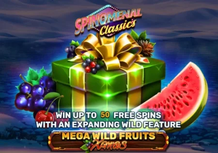 Mega Wild Fruits – Xmas