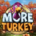 More Turkey