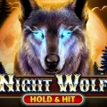 Night Wolf – Hold & Hit