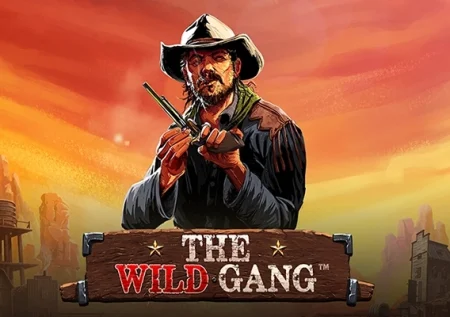 The Wild Gang