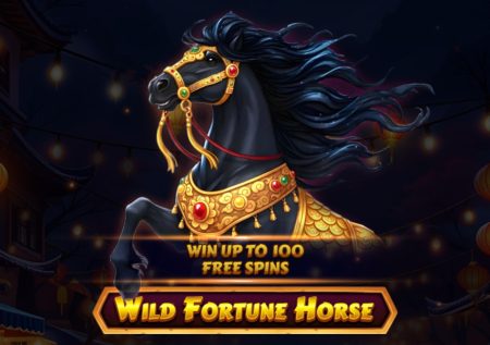Wild Fortune Horse