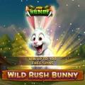 Wild Rush Bunny