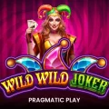 Wild Wild Joker