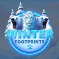 Winter Footprints