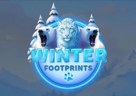 Winter Footprints