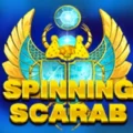 Spinning Scarab