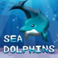 Sea Dolphins