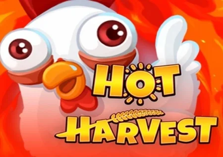 Hot Harvest