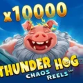 Thunder Hog Chaos Reels