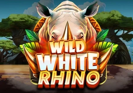 Wild White Rhino
