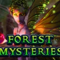 Forest Mysteries