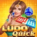 Ludo Quick