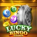 Lucky Bingo
