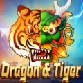 Dragon & Tiger