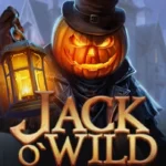 Jack O’Wild