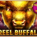 1 Reel Buffalo