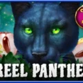 1 Reel Panther