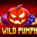 10 Wild Pumpkin