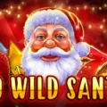 10 Wild Santa