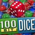 100 Bit Dice