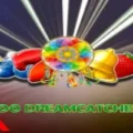 100 Dream Catcher