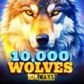 10,000 Wolves 10K Ways