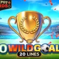 20 Wild Goals