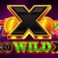 20 Wild X