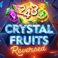 243 Crystal Fruits Reversed