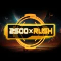 2500 x Rush