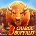 3 Charge Buffalo