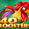 40 Roosters