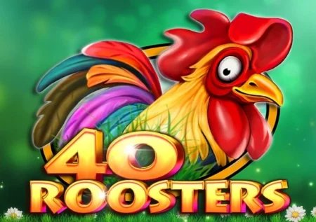 40 Roosters