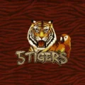 5 Tigers