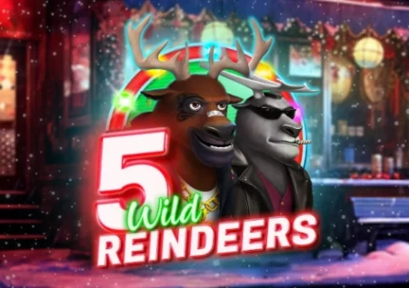 5 Wild Reindeers