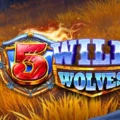 5 Wild Wolves